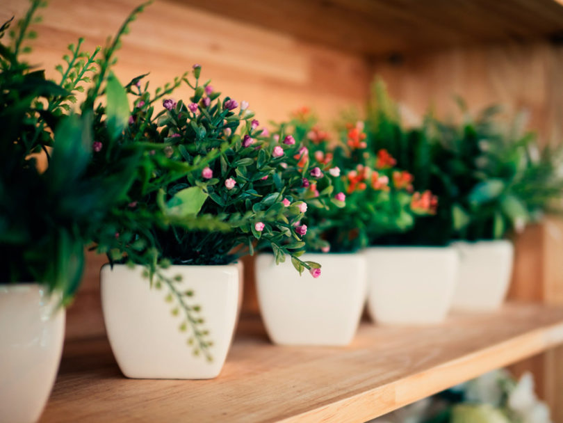Decoração com plantas artificiais: vantagens e ideias - Amo Decorar
